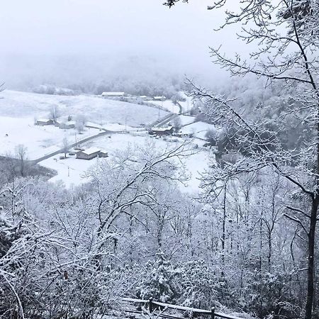 Pigeon Forge Scenic Solitude With Private Hot Tub! Exteriör bild